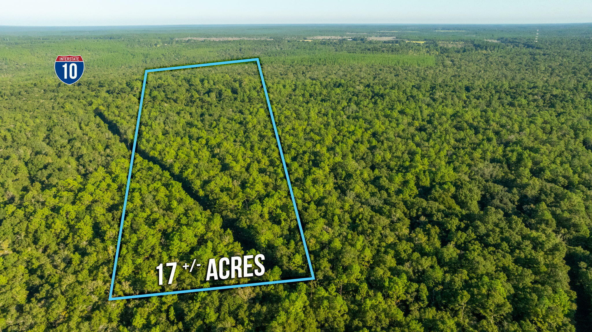 Property Photo:  17 Acres Lyons Place  FL 32564 