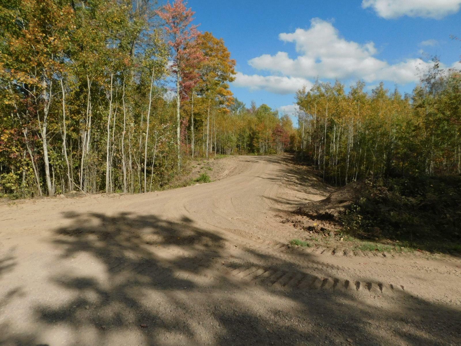 Property Photo:  Lot 4 Grundy Rd  WI 54487 