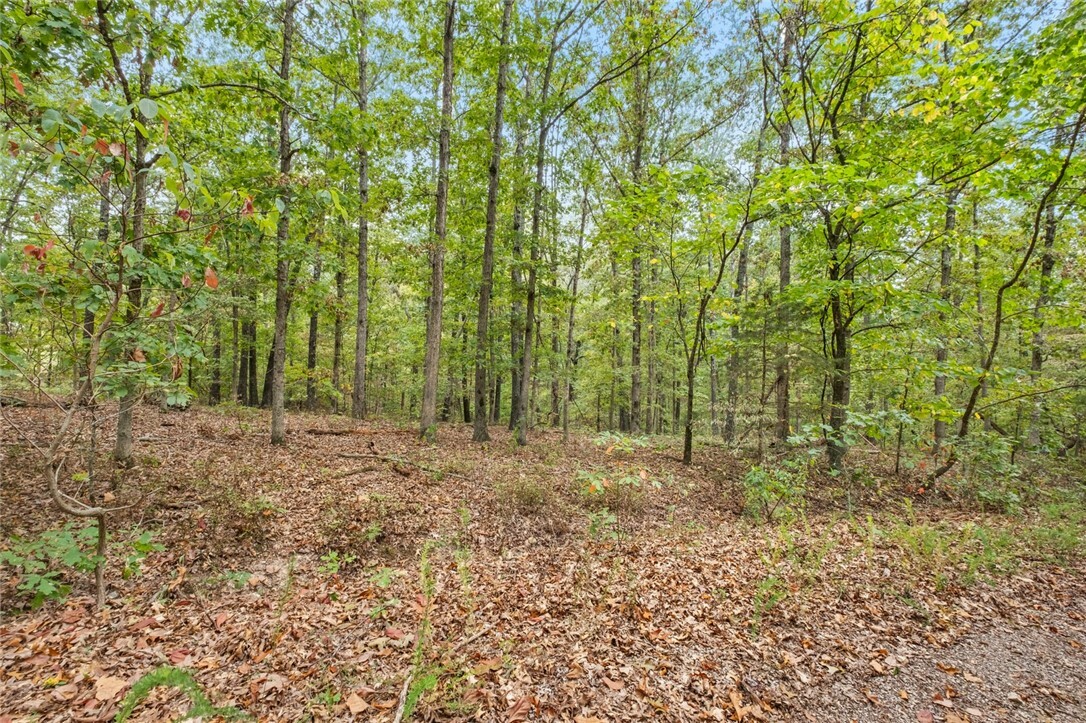 Property Photo:  Lots 1 & 2 Kent Lane  AR 72714 