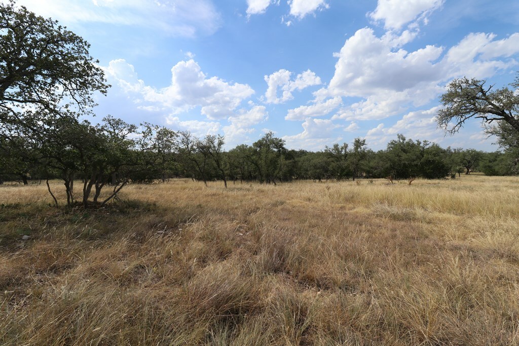 Property Photo:  107 Nott Branch Rd  TX 78631 