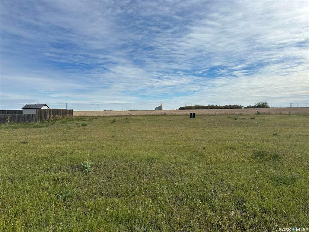 17 Prairie View Crescent  Colonsay SK S0K 0Z0 photo