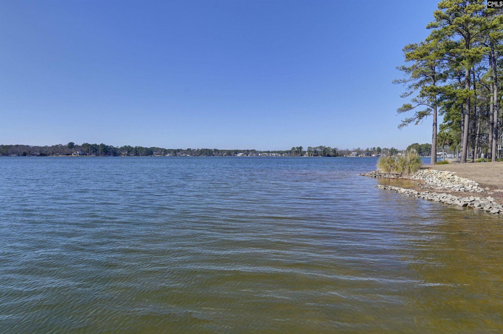 Property Photo:  133 Winding  SC 29063-9285 