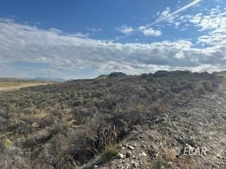 Property Photo:  539 Palace Parkway  NV 89815 