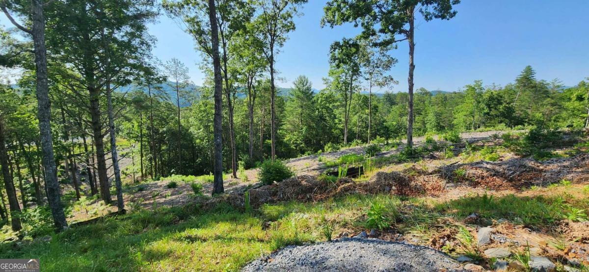 Property Photo:  Lot 18 Mountain Laurel Ridge  GA 30559 