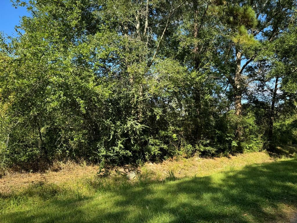 Property Photo:  Lot 71 Pine Park Boulevard  TX 77632 