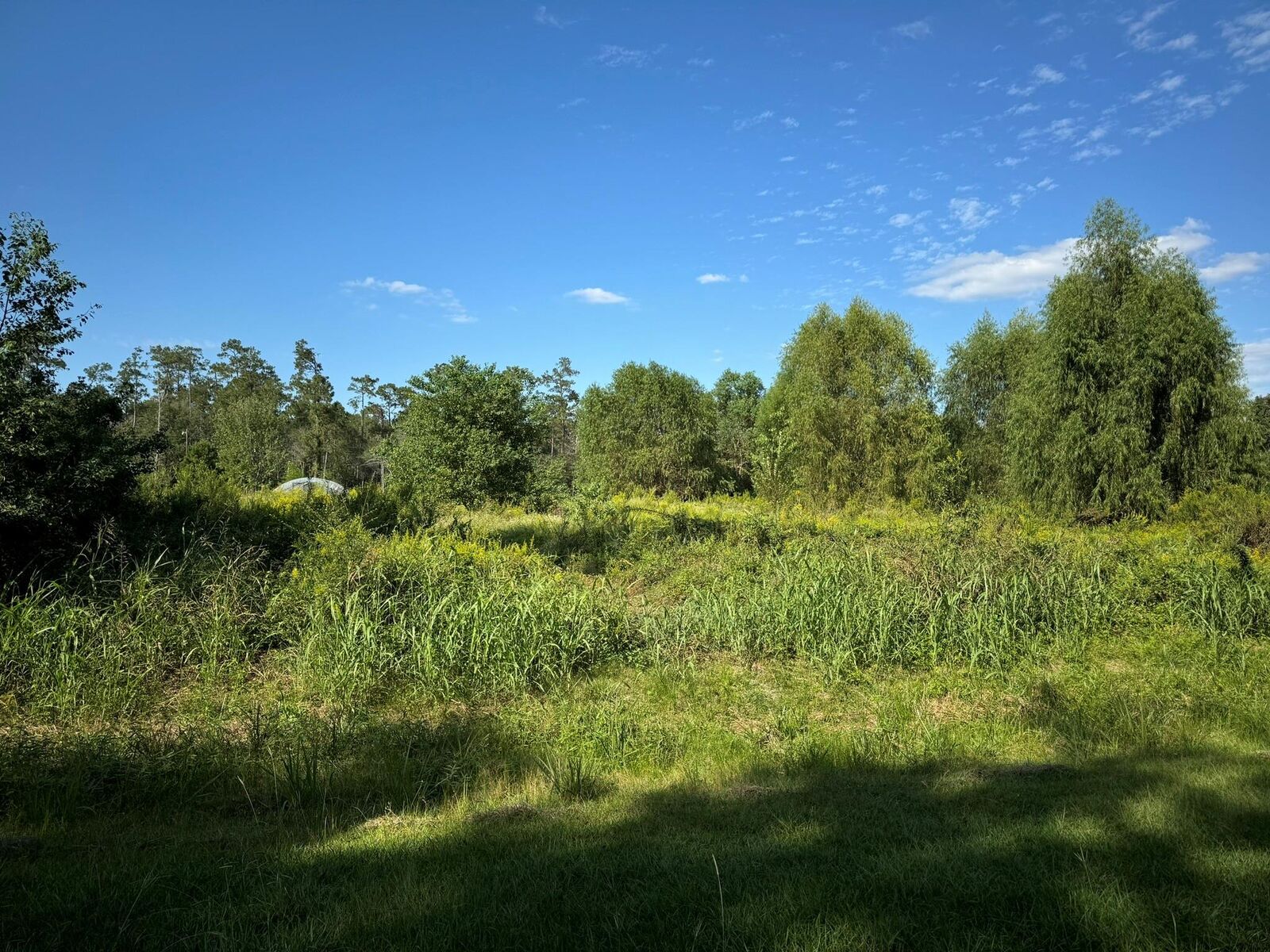 Property Photo:  Lot 74 Pine Park Boulevard  TX 77632 