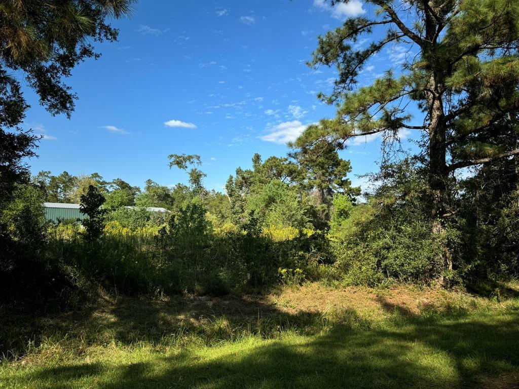 Property Photo: Lot 75 Pine Park Boulevard TX 77632