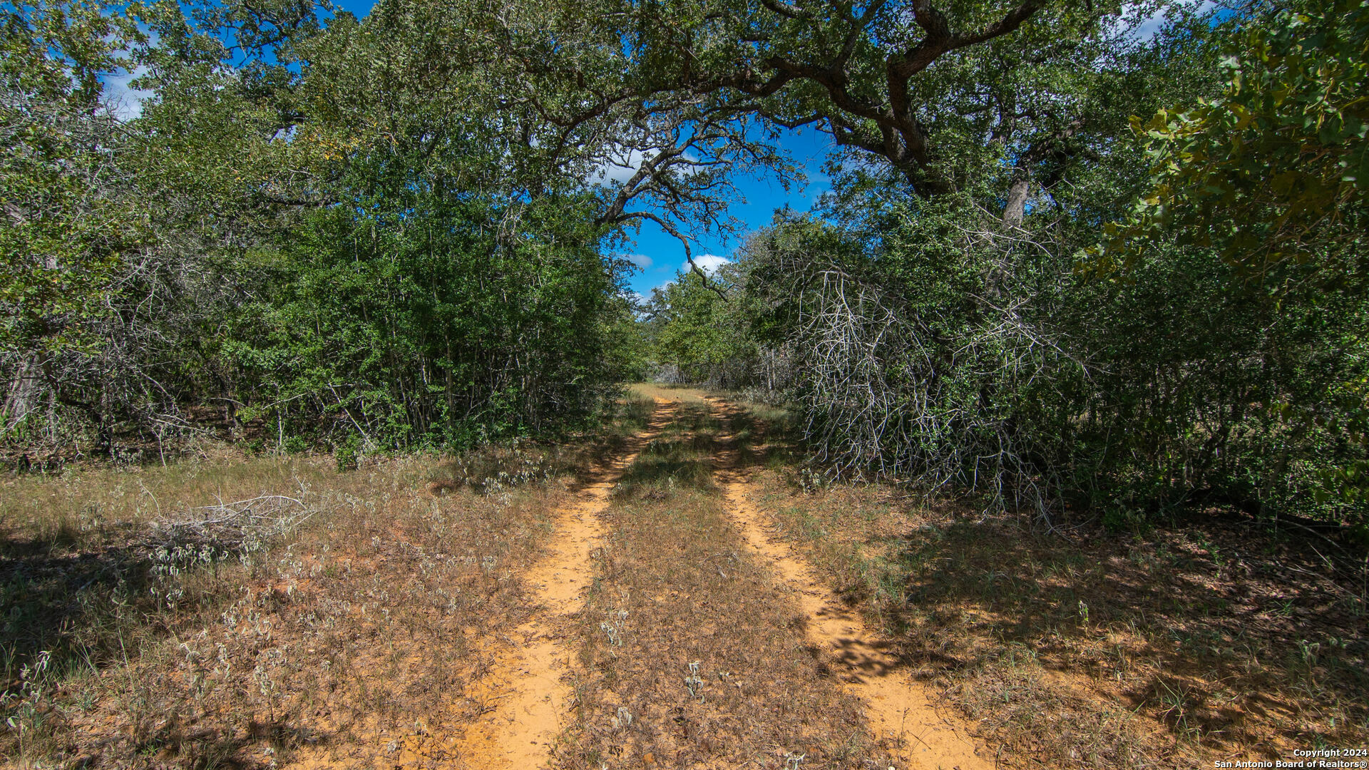 Tbd County Road 434  Stockdale TX 78155 photo