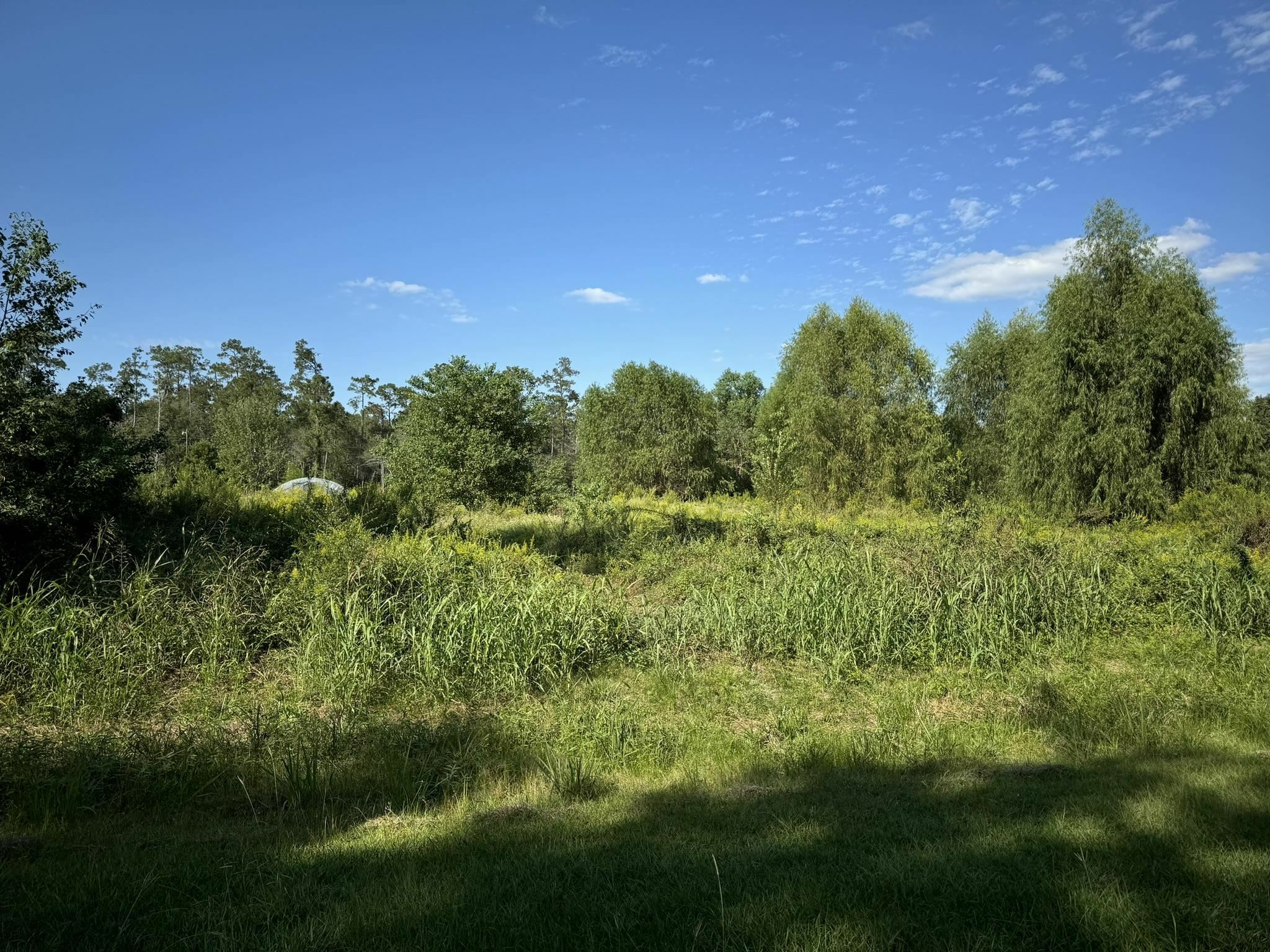 Property Photo:  Lot 74 Pine Park Blvd  TX 77632 