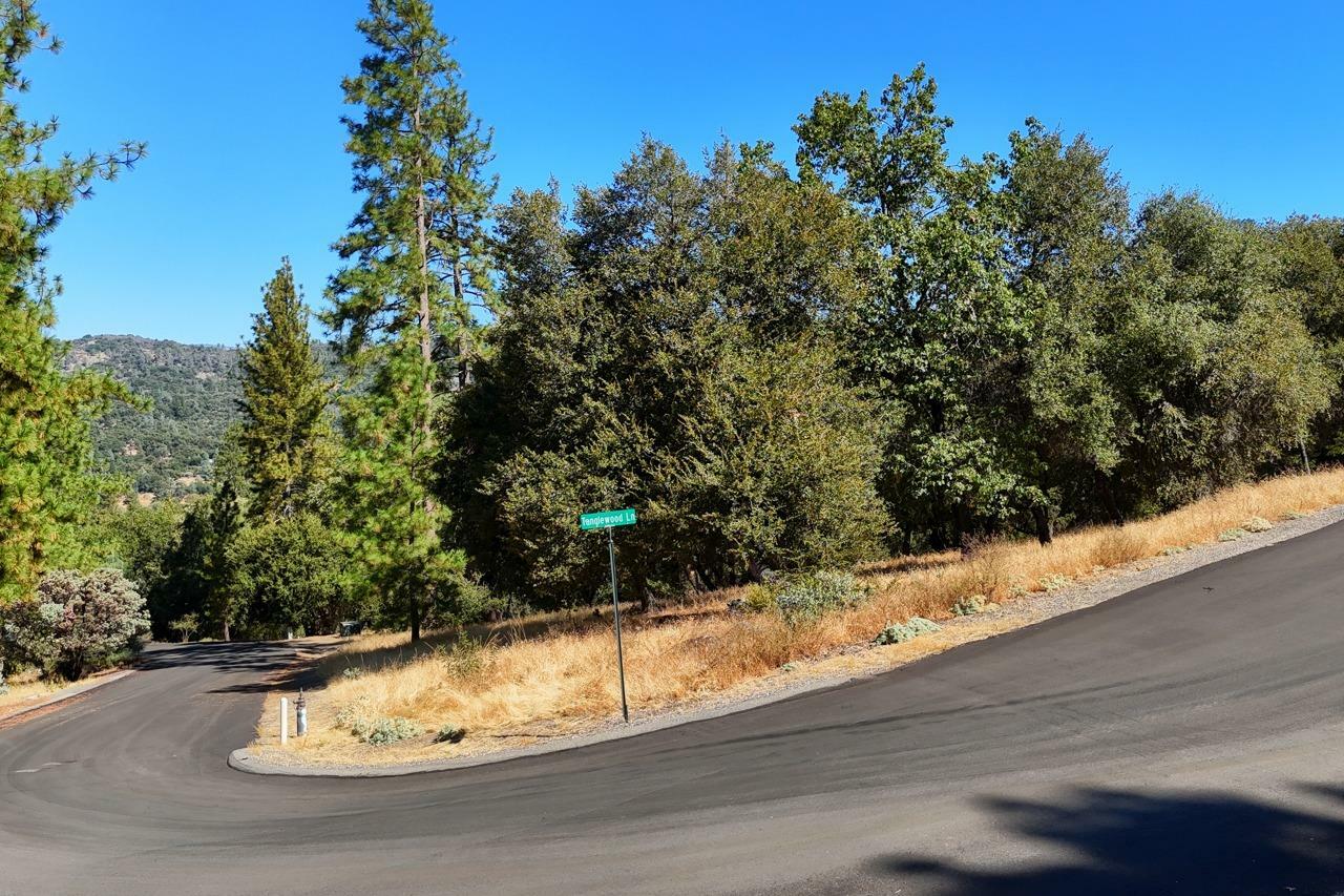Property Photo: 0 Timberwood CA 93644