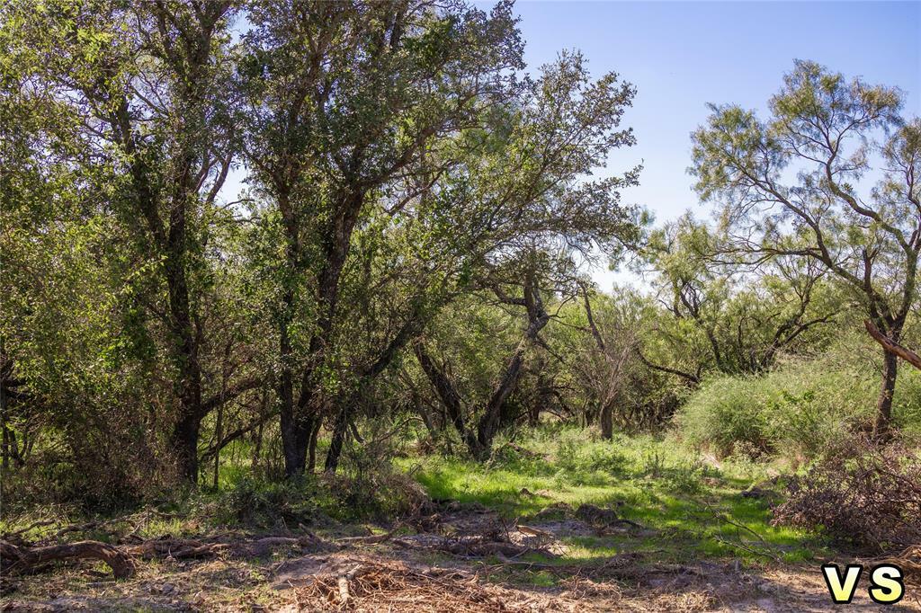 Property Photo:  Lot 6 County Road 489  TX 76857 