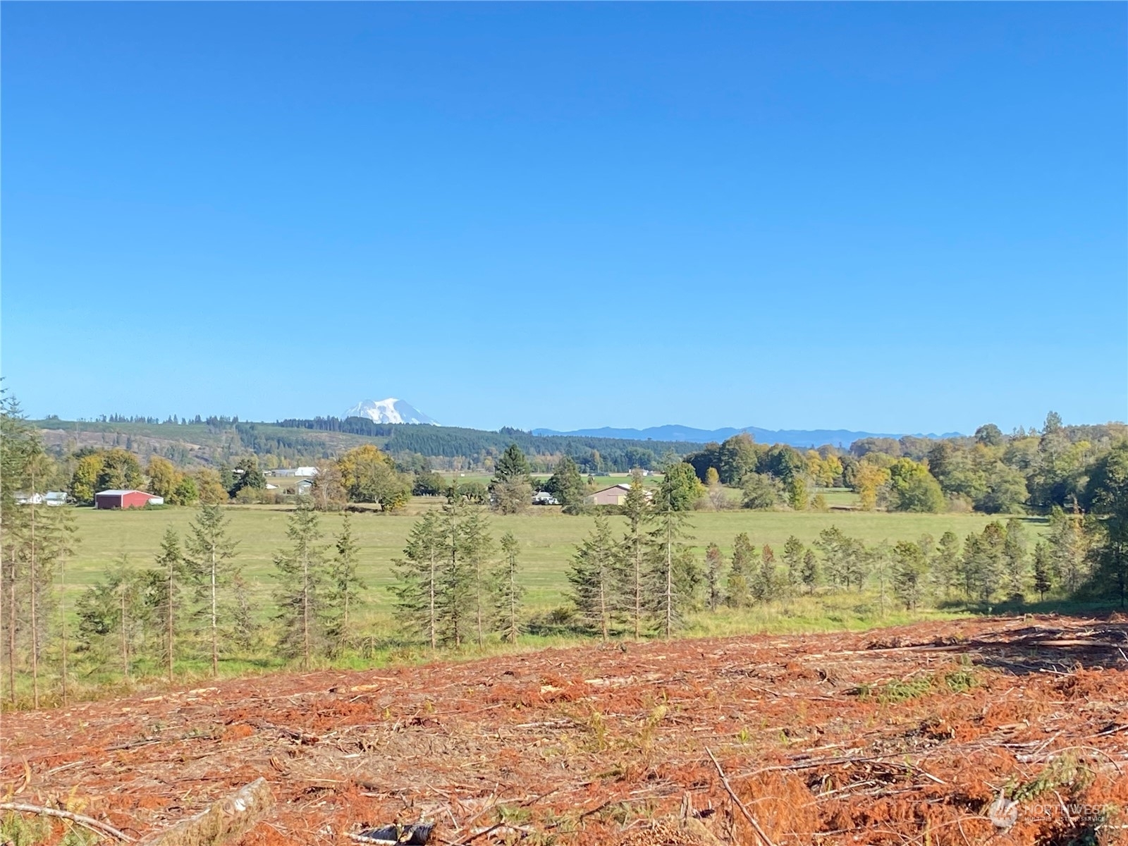 Property Photo:  0 Bunker Creek Road Lot B  WA 98522 