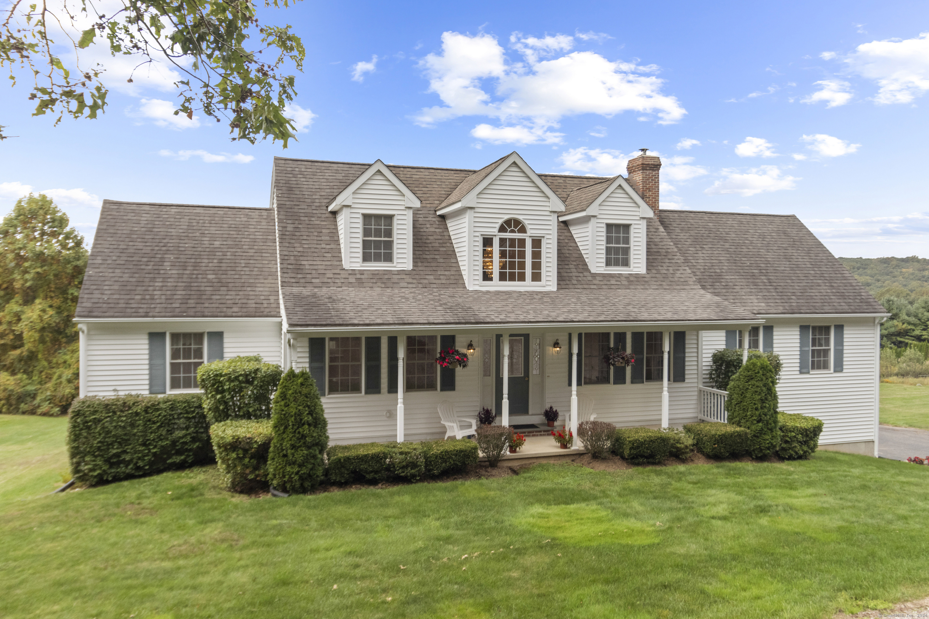 Property Photo:  425 Chestnut Tree Hill Road  CT 06478 