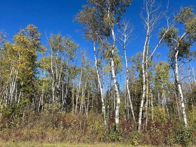 Property Photo: 1 Ironwood Point Road MB R0E 0E0