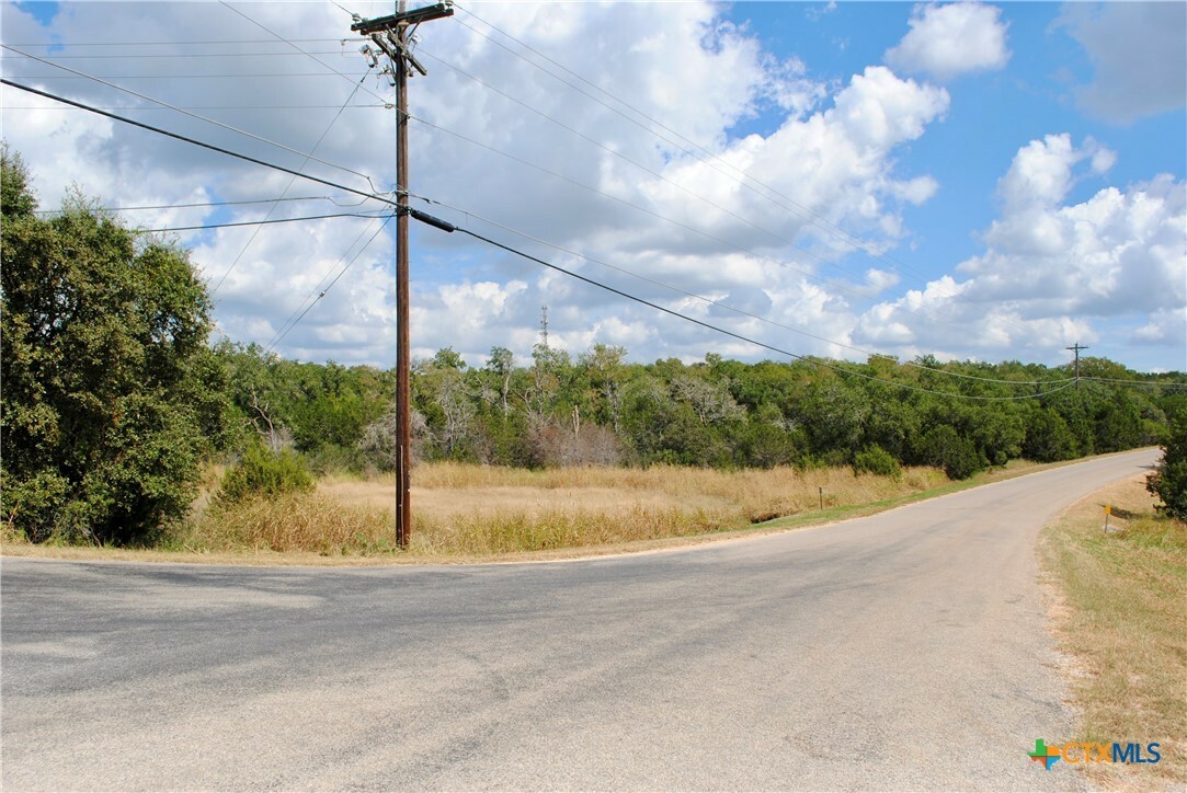 Property Photo:  472 Falconwood Drive  TX 78666 