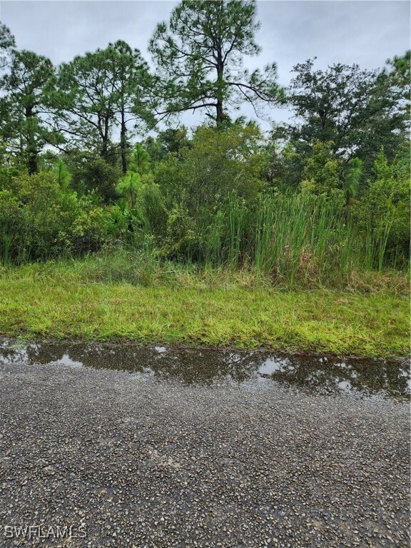 Property Photo:  1951 Roderick Lane  FL 33972 