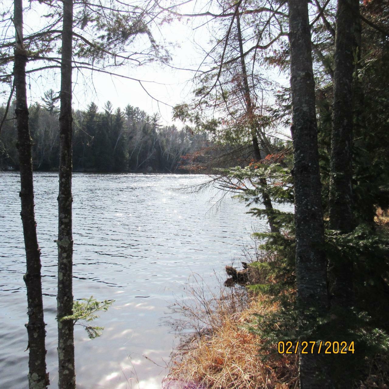 25.8acre Adams Ln  Tomahawk WI 54487 photo