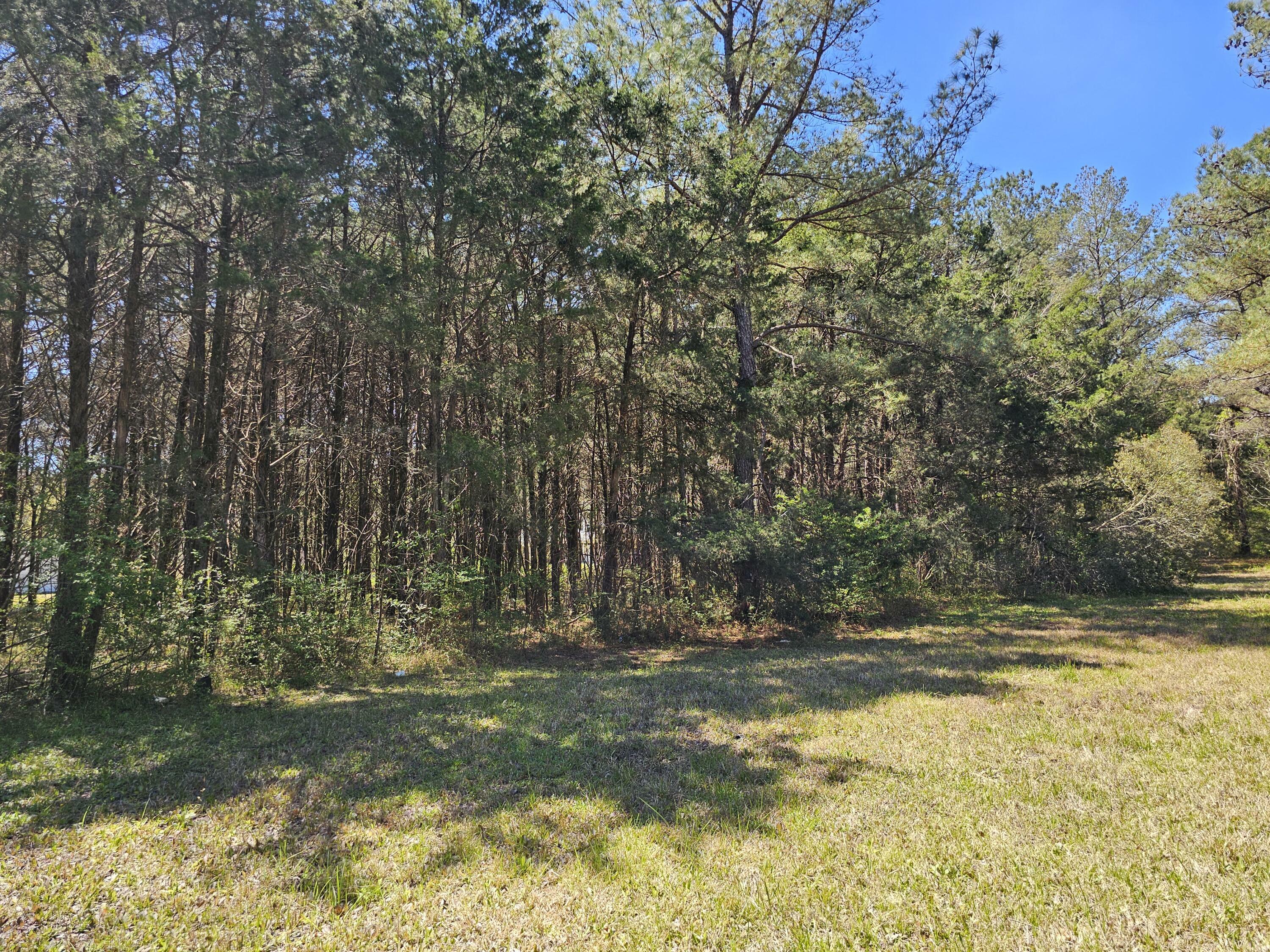 Property Photo:  16th Section Rd  MS 39759 