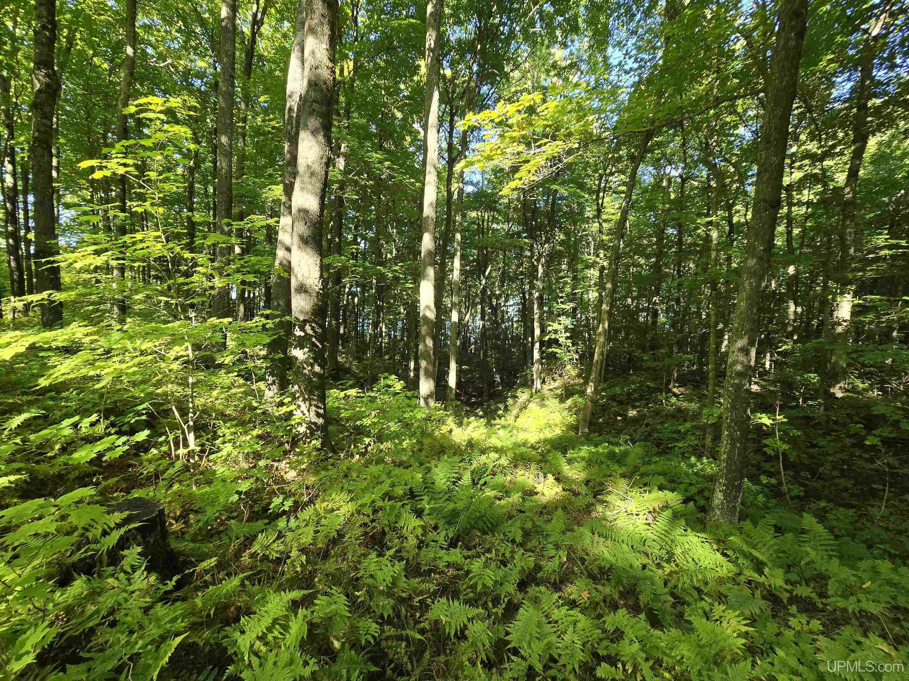Property Photo: Unit 12 Redridge Creek Road MI 49905