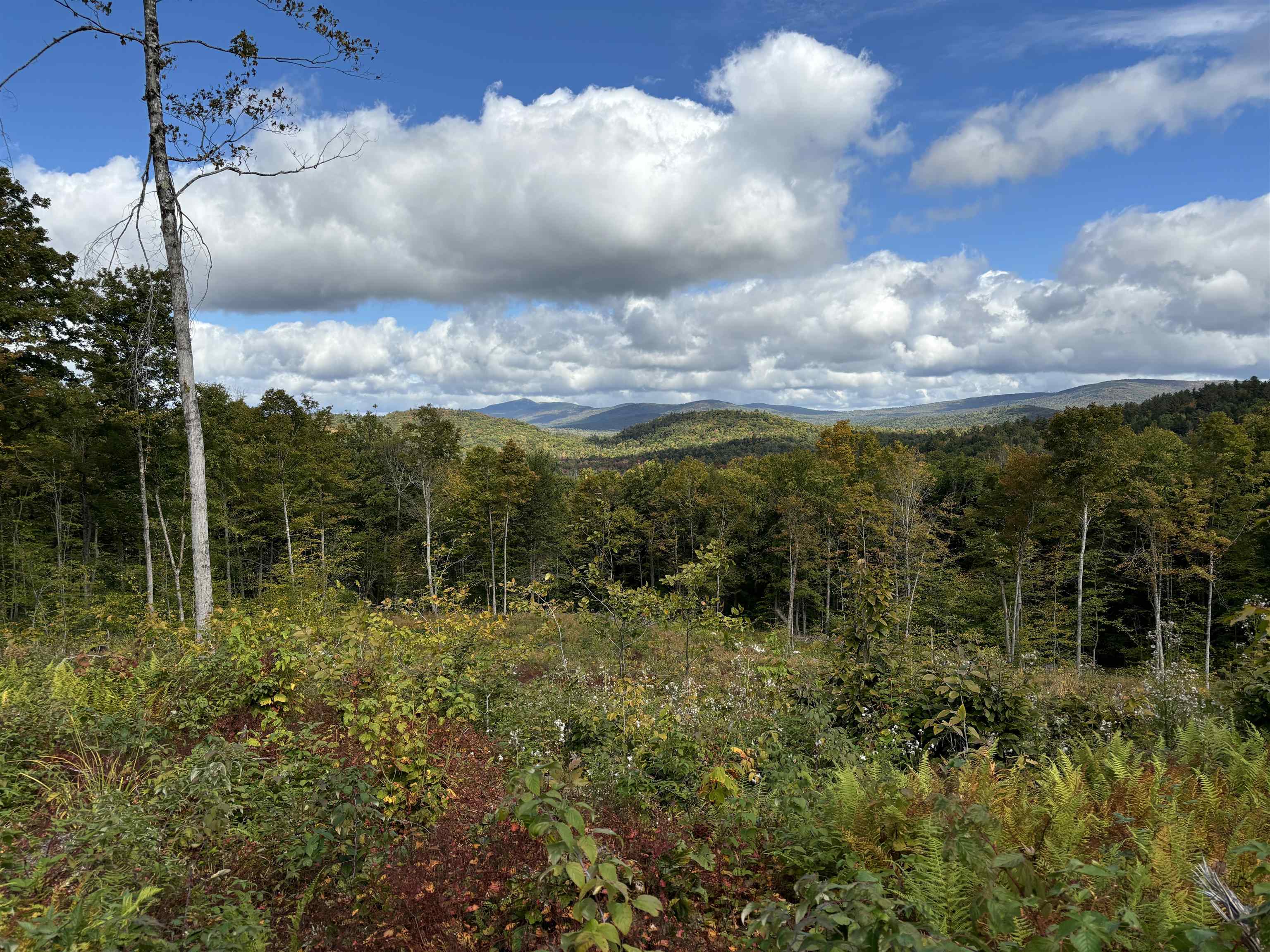 Property Photo:  0 Danbury Woods Road  NH 03230 