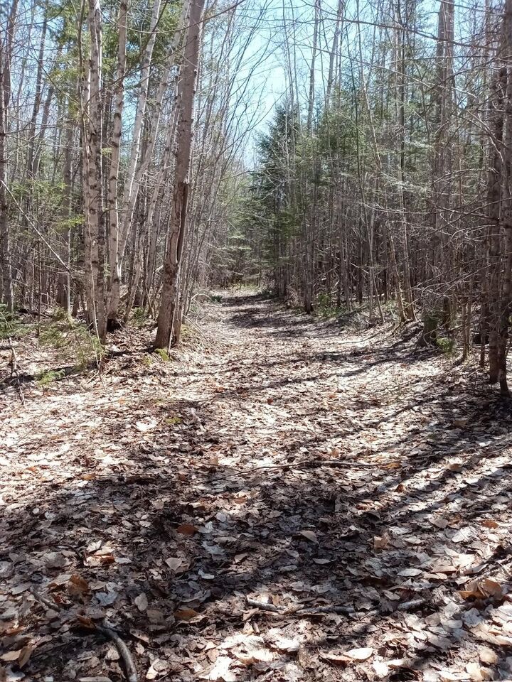 Property Photo:  Acreage  PE C0B 1H0 