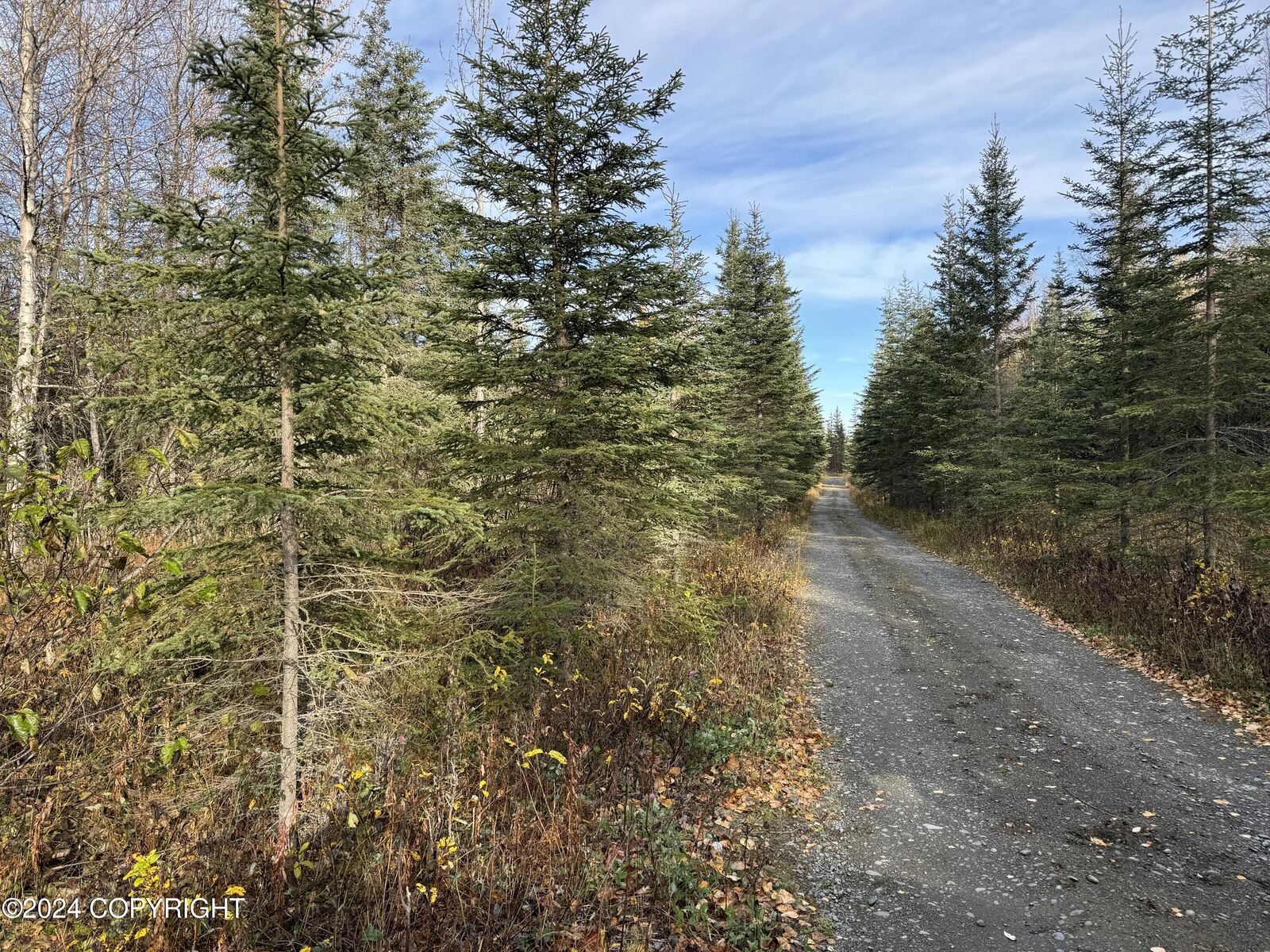 Property Photo: 40ac N Strawberry Road AK 99611