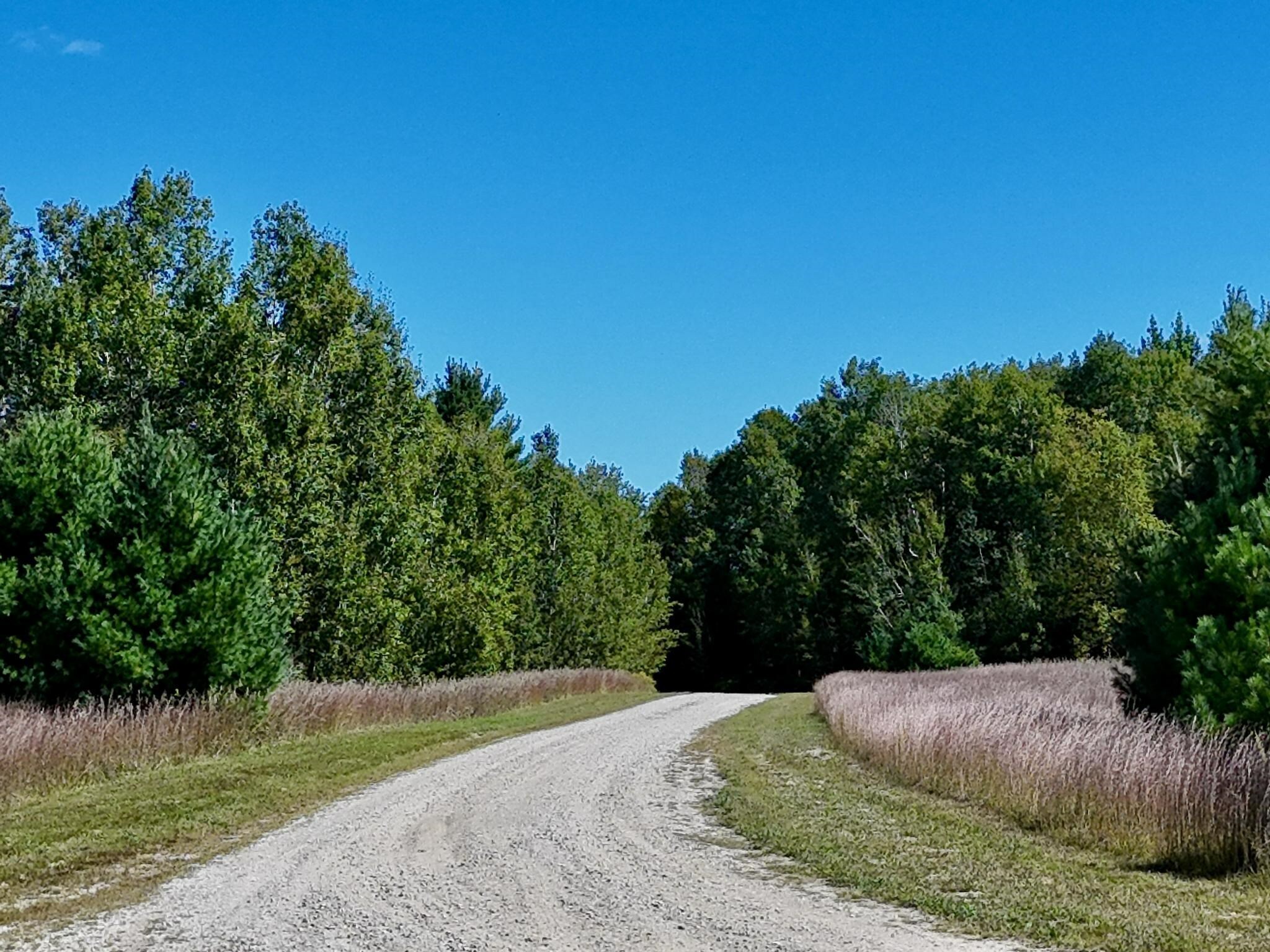 Property Photo:  265 Grouse Drive SW  MI 49646 