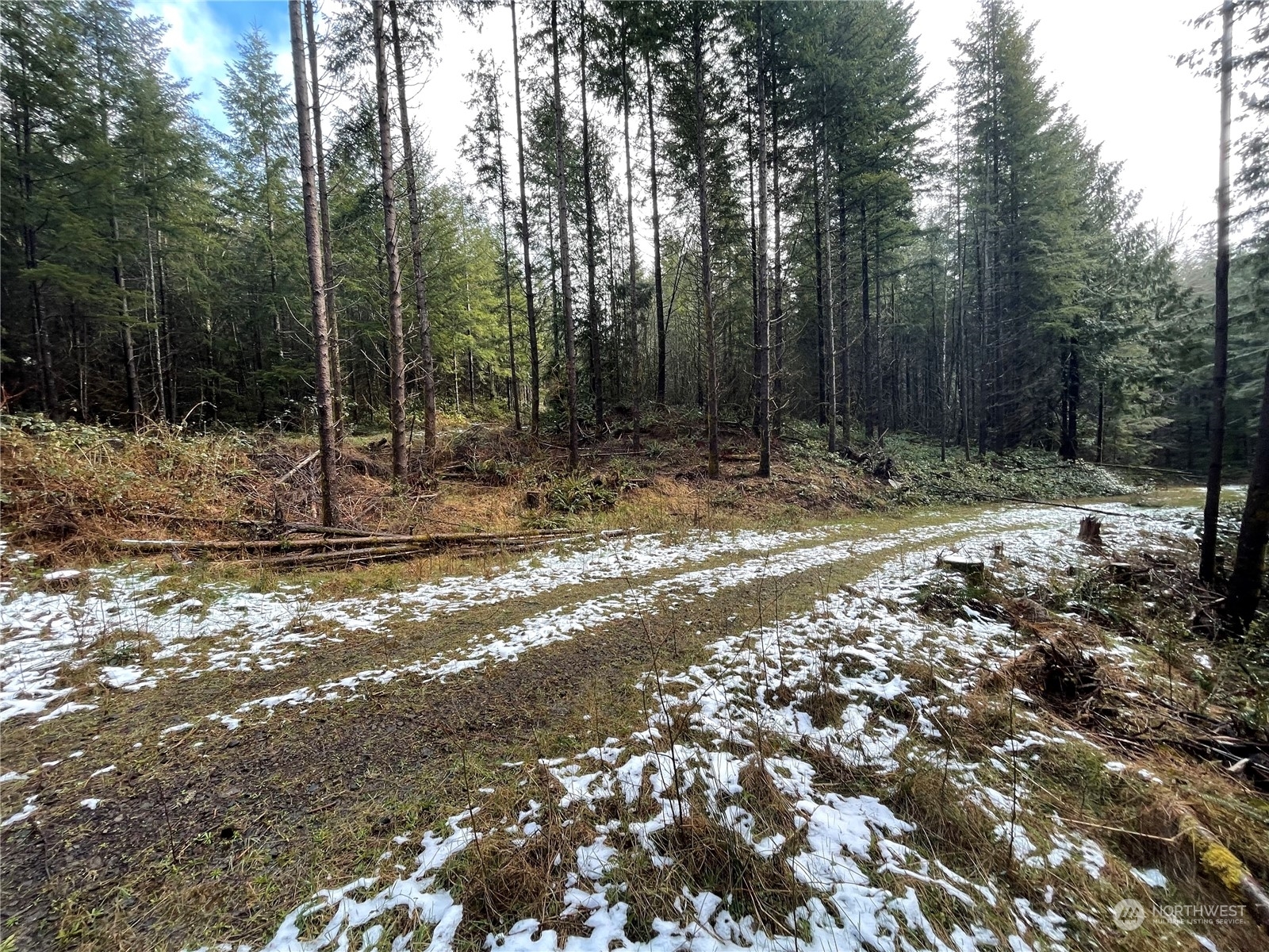 Property Photo:  0 Lot D NE Westerholm Road  WA 98606 