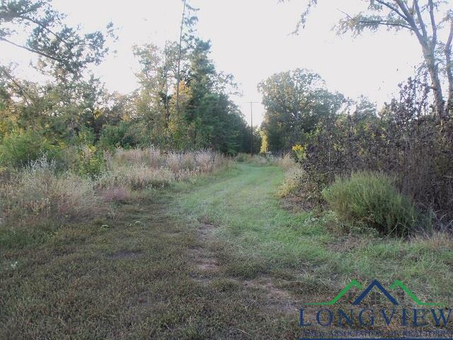 Property Photo:  Tbd Whiteside Lane Cr 1127 D  TX 75662 