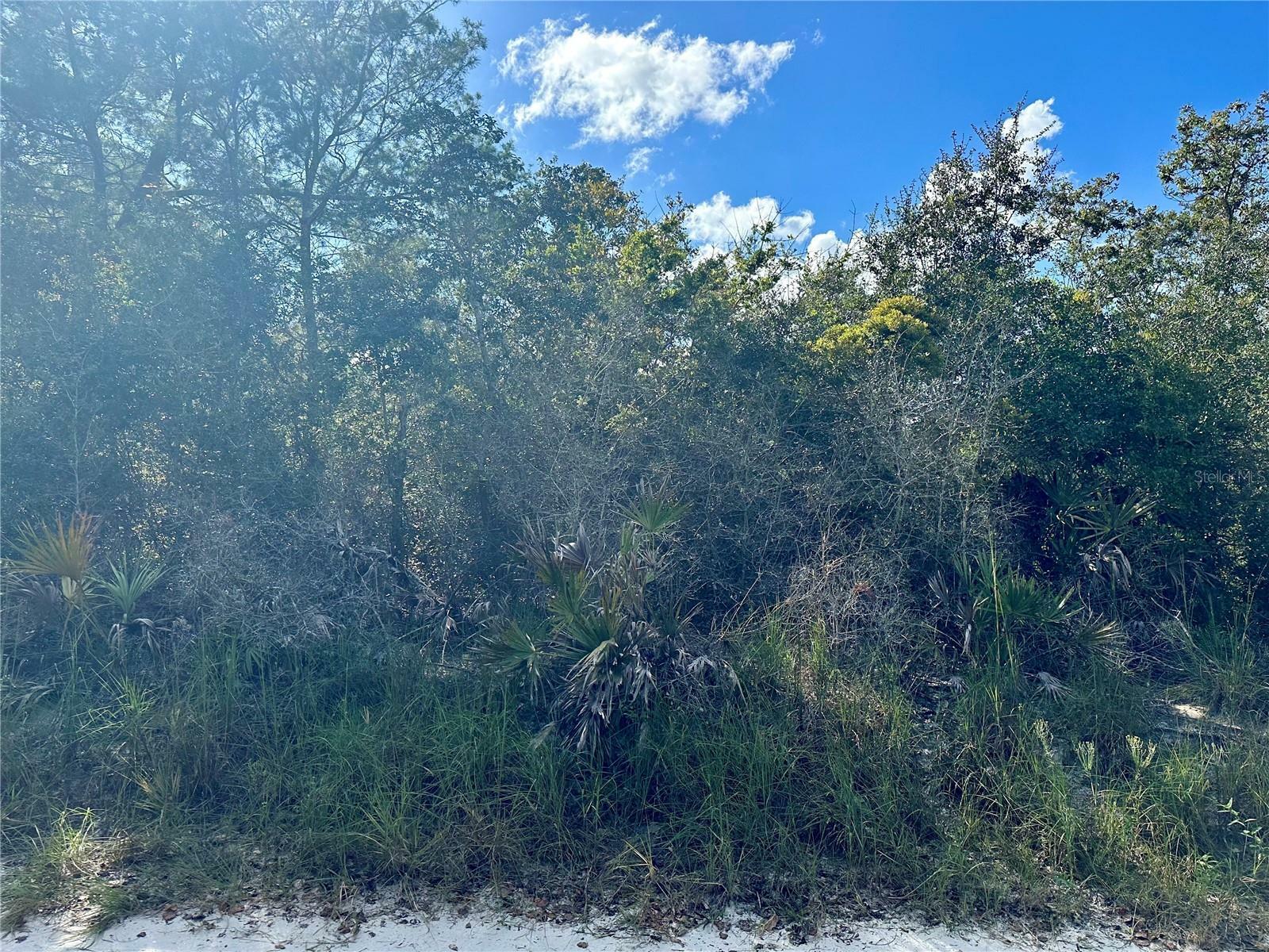 Property Photo:  Hon (Paper) Avenue  FL 32744 