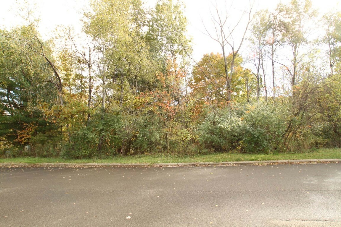 Property Photo:  1209 Lot #4 Domenica Drive  NY 13760 