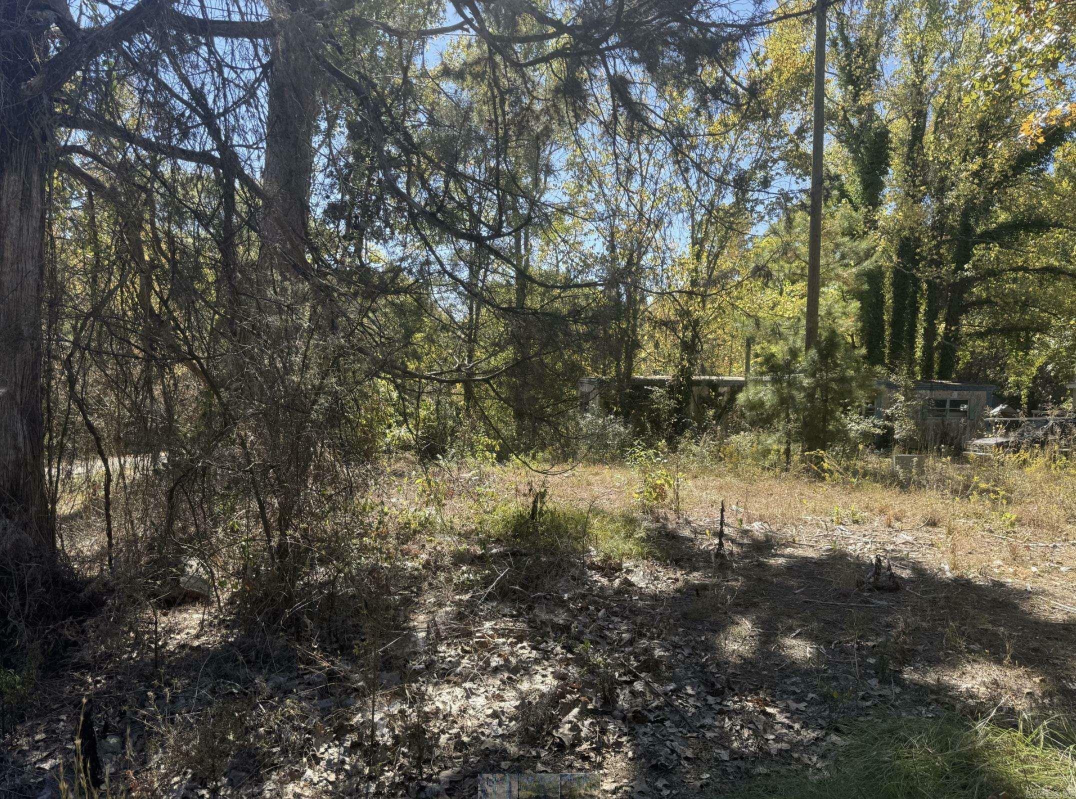 Property Photo:  3205 Blaney Hill Road  AR 72032 