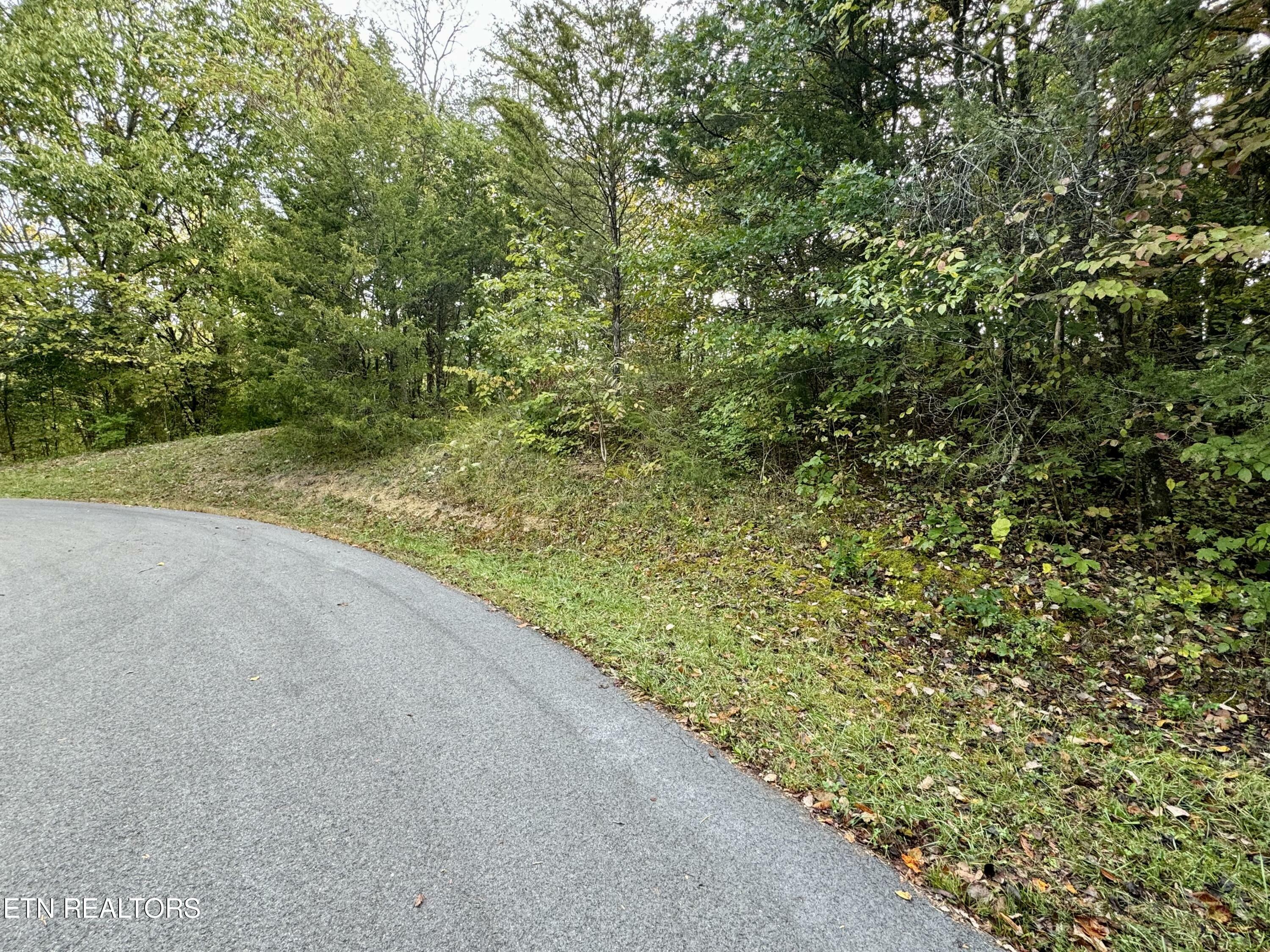 Property Photo:  Lot 19 Heatley Lane  TN 37862 