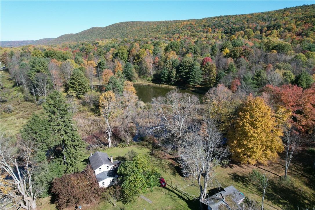 Property Photo:  195 Hillview Road  NY 14883 