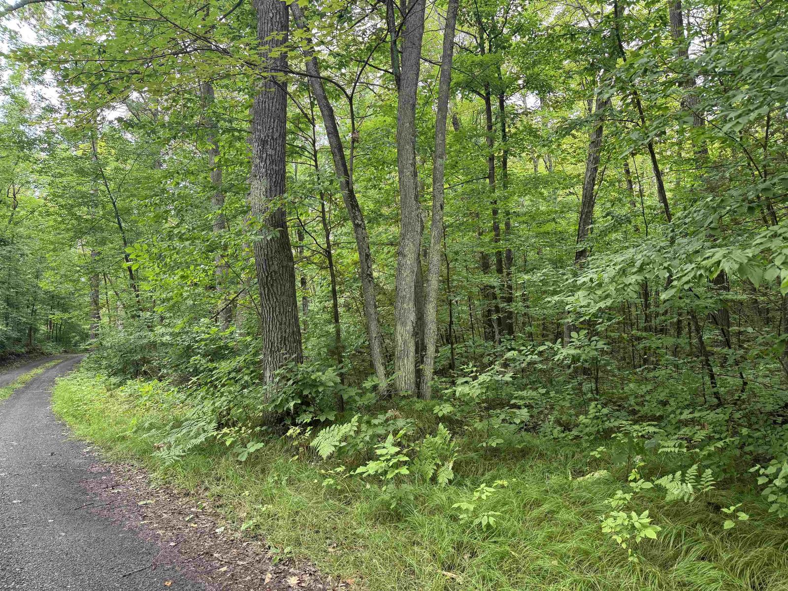 Property Photo: Lot 17 &Amp 18 Sleepy Fawn Ln WI 54847