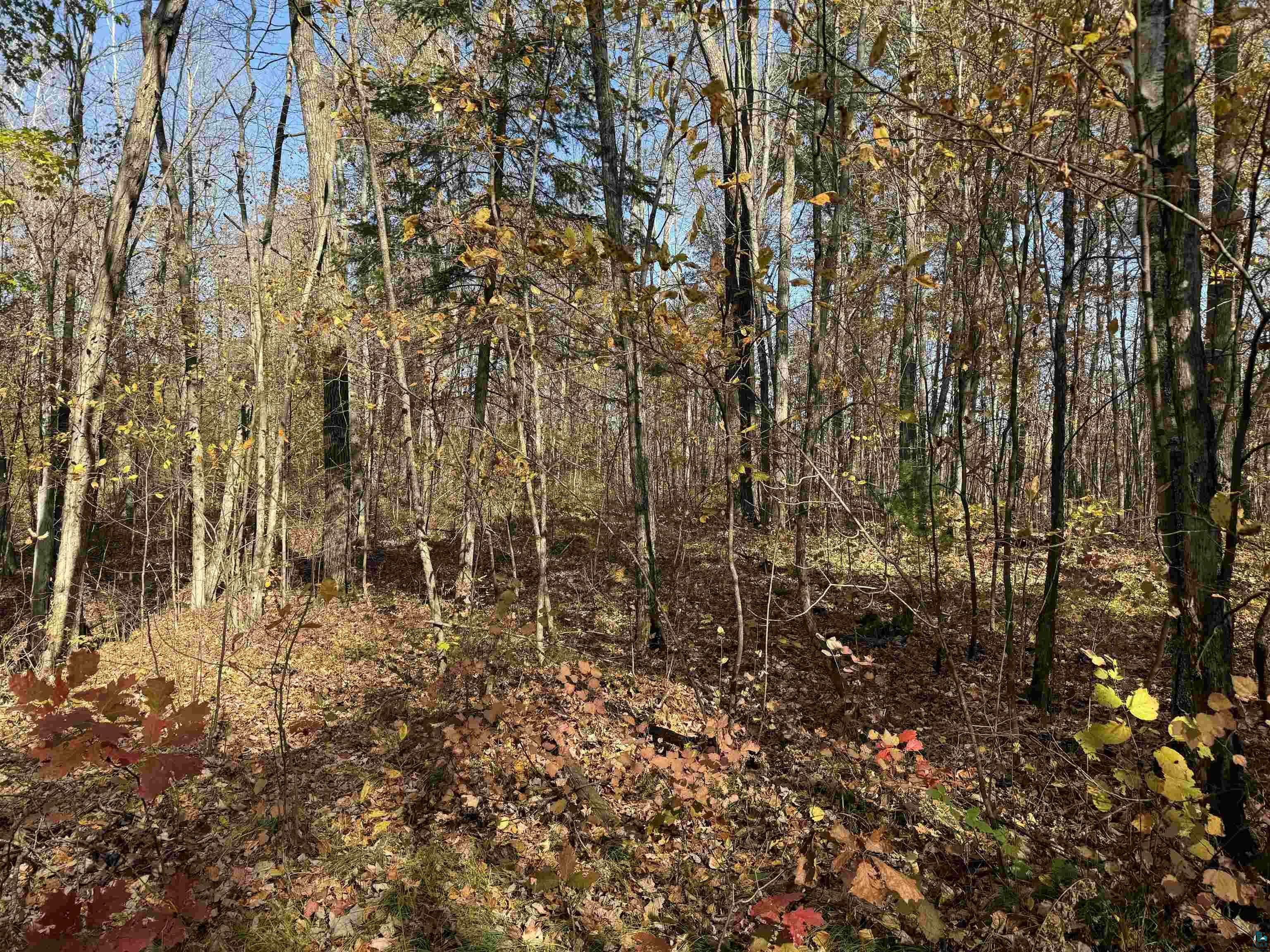 Property Photo:  Lot 17 &Amp 18 Sleepy Fawn Ln Deer Trail Condos  WI 54847 