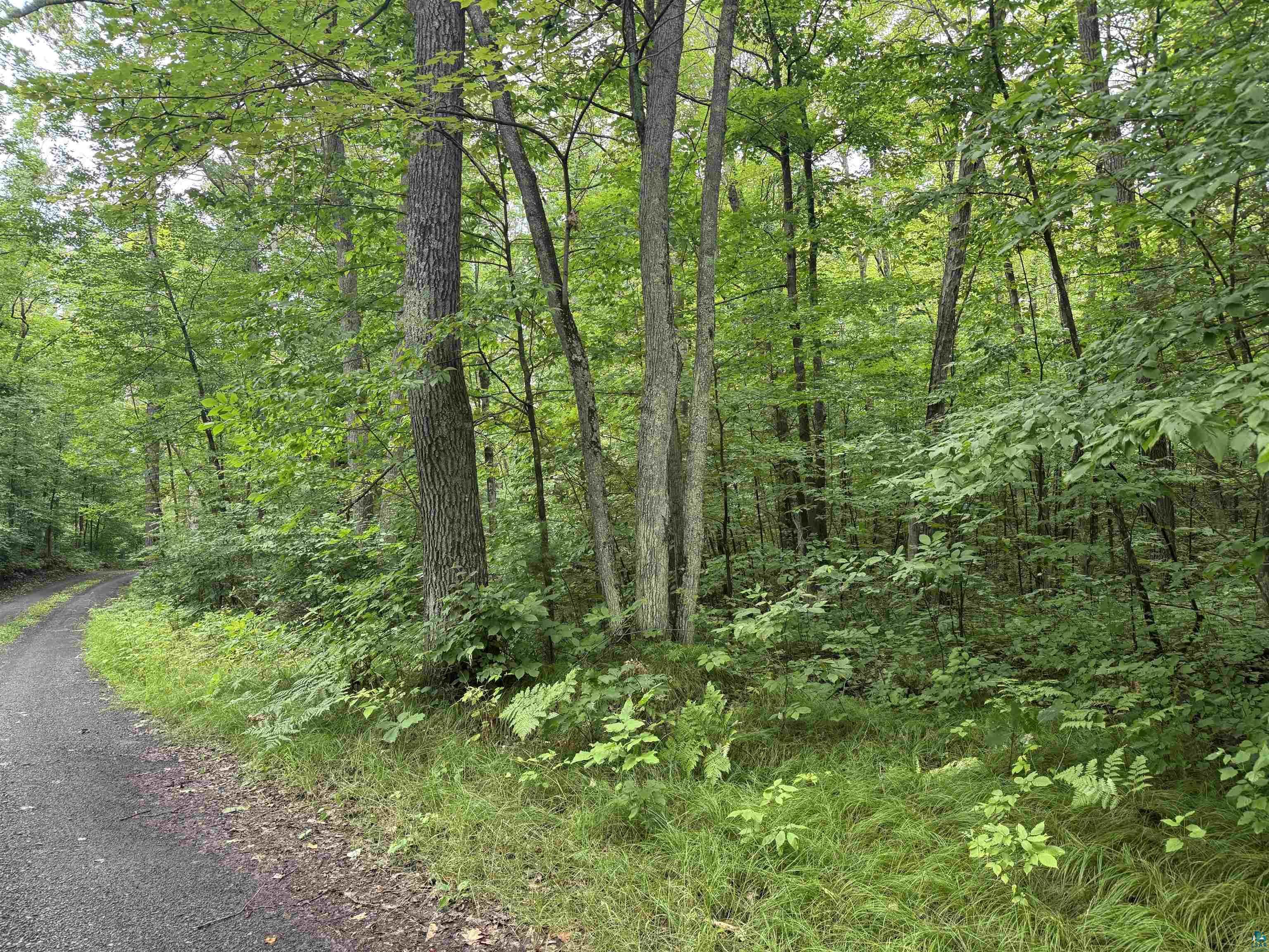Property Photo: Lot 17 &Amp 18 Sleepy Fawn Ln Deer Trail Condos WI 54847