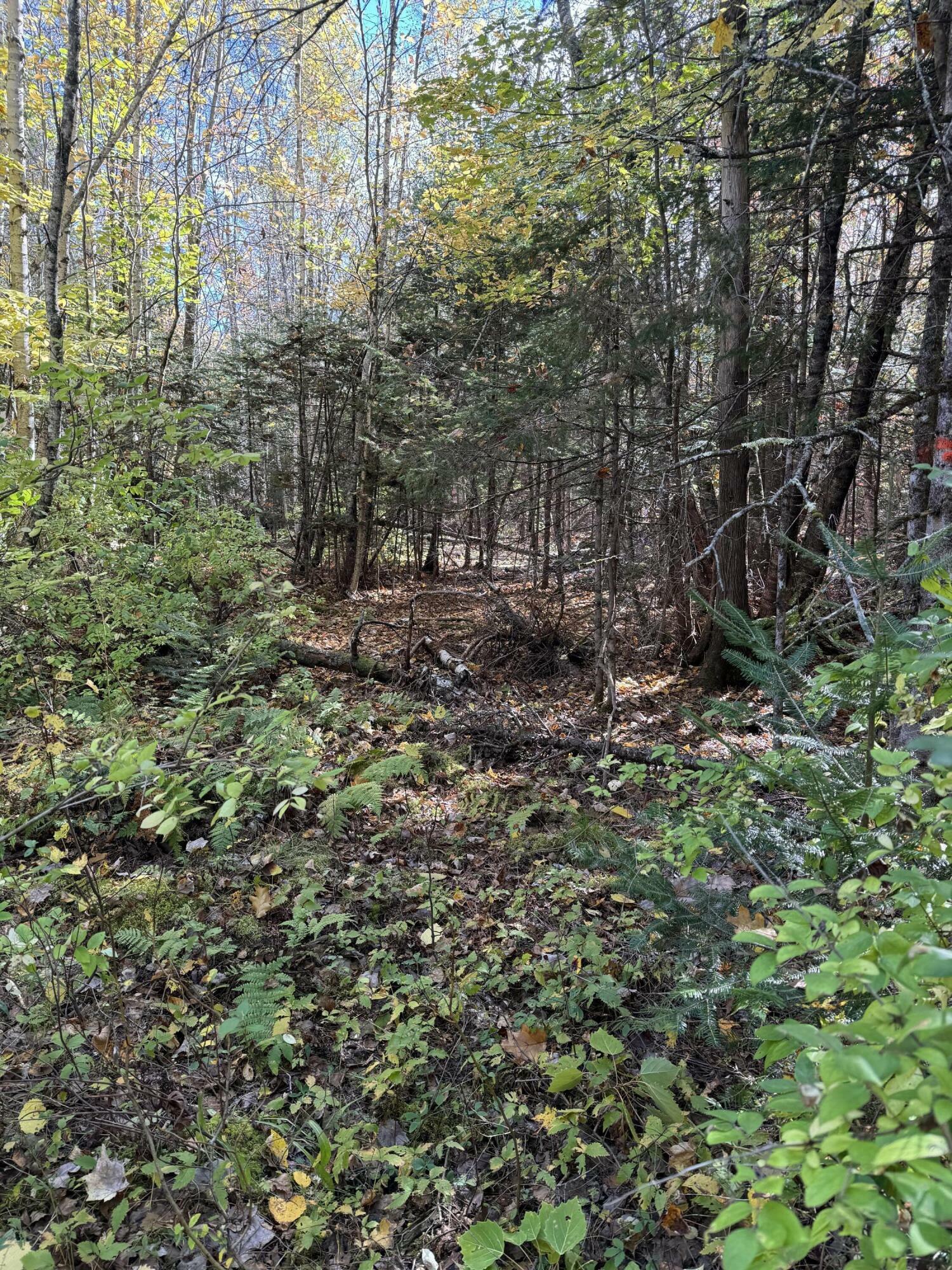 Property Photo:  Lot 9-2 Lilly Drive  ME 04953 