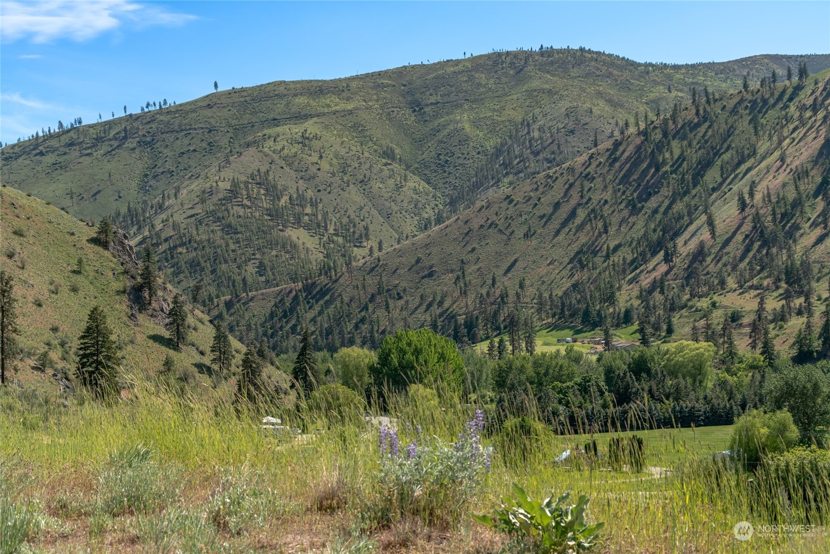 Property Photo:  6104  Entiat River Road  WA 98822 