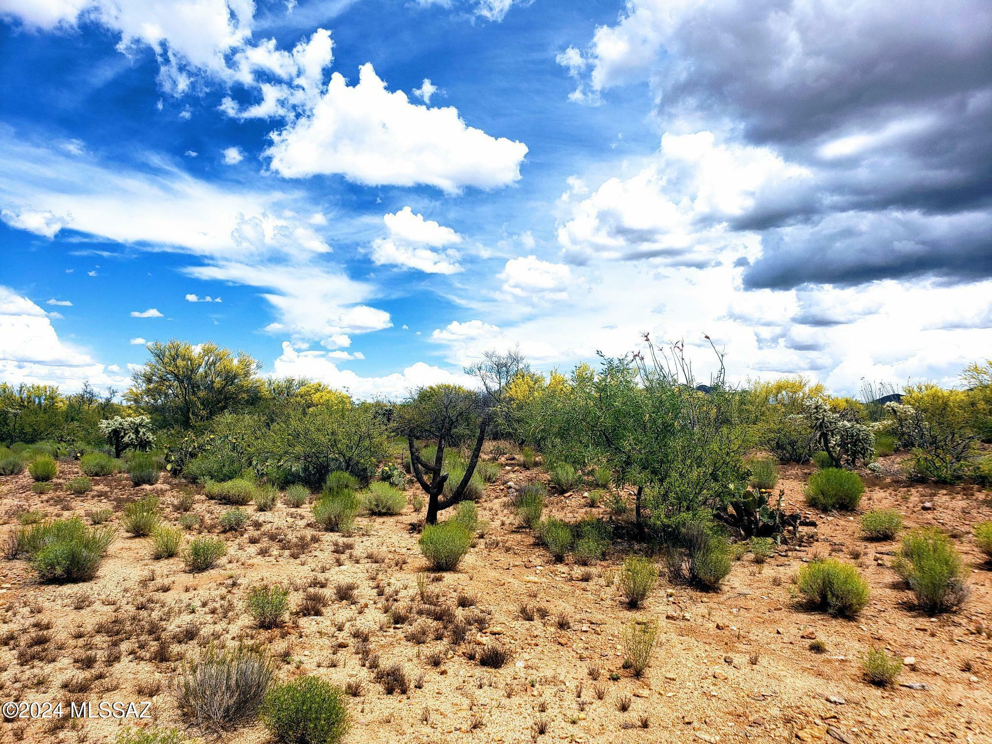 Property Photo: 16408 Stoval Avenue AZ 85736