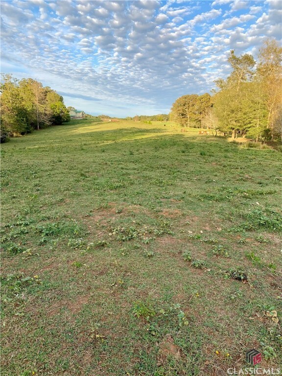 Property Photo:  0 Harris Farms Road  GA 30549 