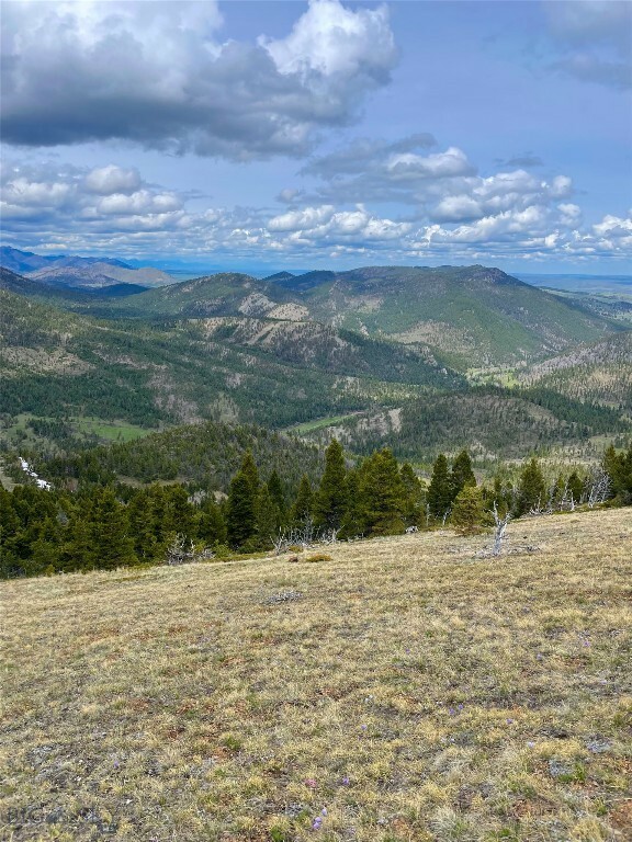 Property Photo:  Nhn Bear Creek Road  MT 59648 