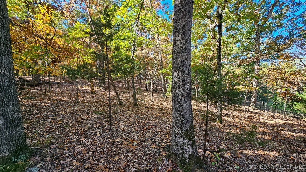 Property Photo:  Lot #1387 Via Bella Vista Court  MO 65079 