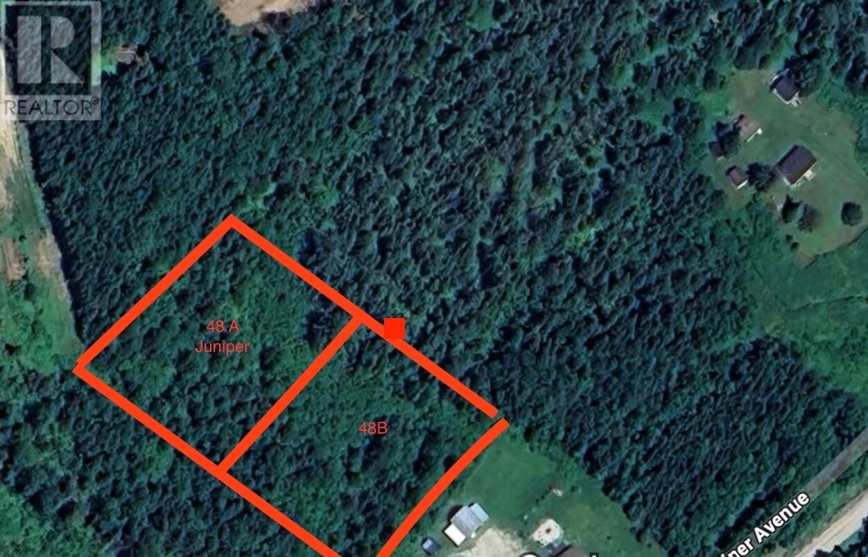 Property Photo:  48B Juniper Avenue  NL A8A 2M7 