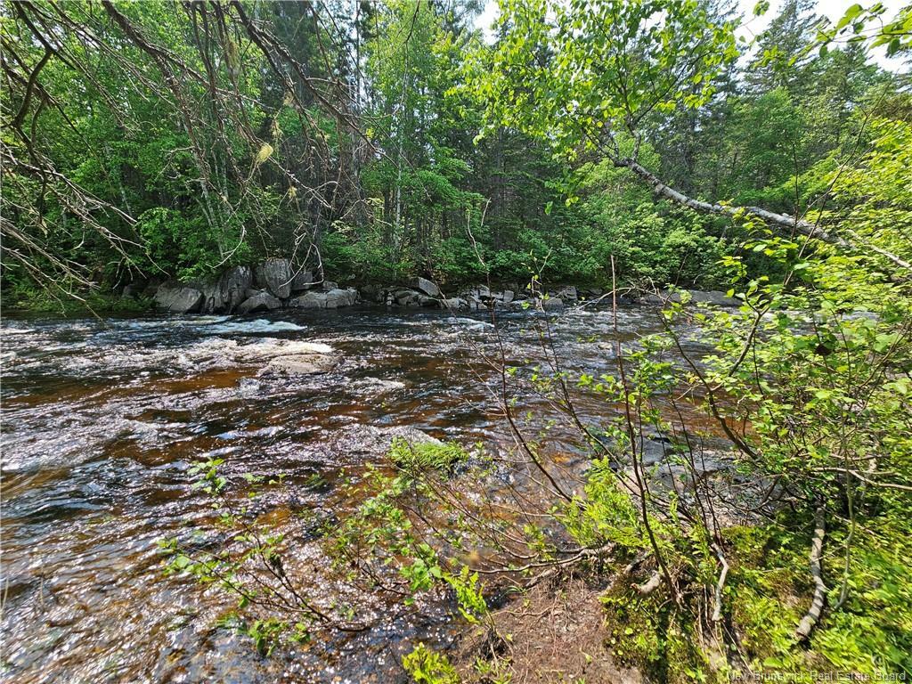 Property Photo:  9.41 Acres West Street  NB E2A 6L7 