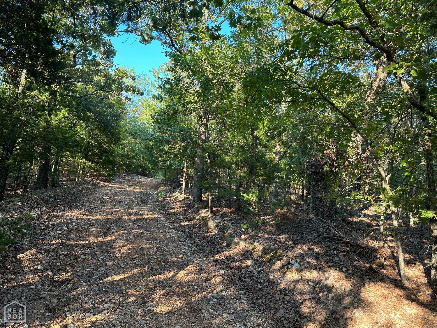 Property Photo:  166 Water Tower Road  AR 72619 