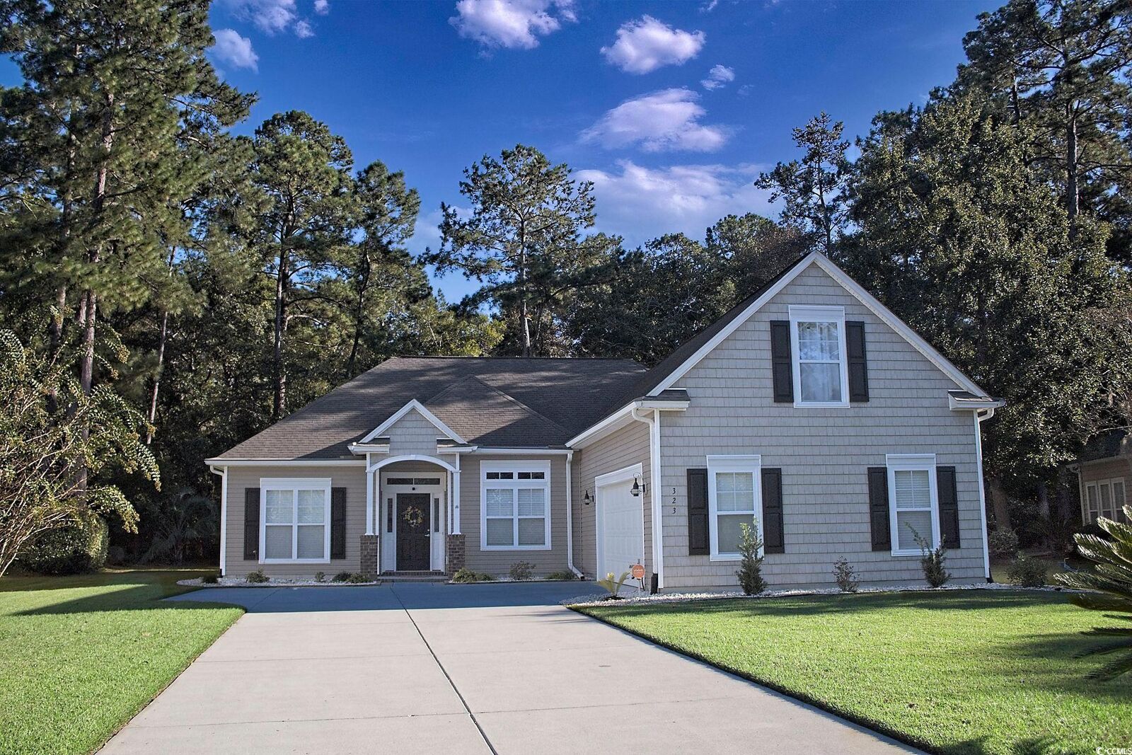 Property Photo:  323 Trestle Way  SC 29526 