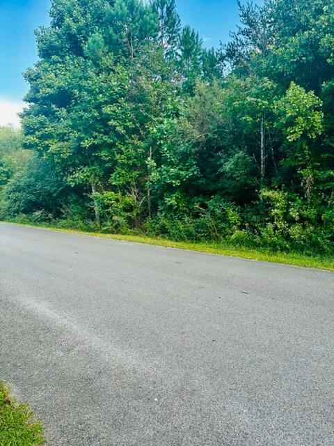 Property Photo:  9999 Reed Valley Road  KY 40741 