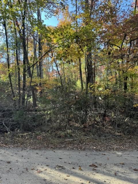 11 Mill Creek Acres  Blue Ridge GA 30513 photo