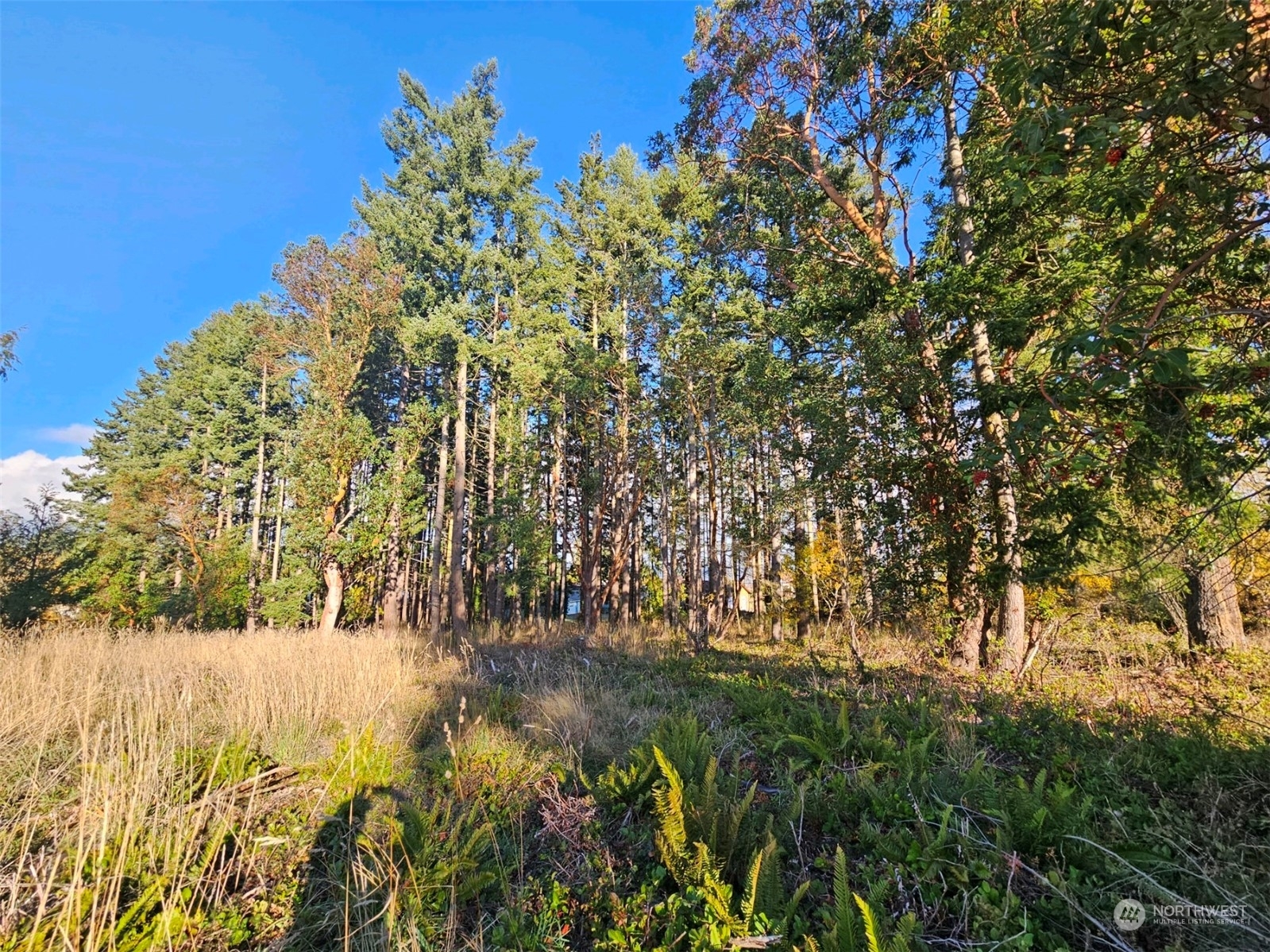 Property Photo:  0  Lot 2 West 8th Street  WA 98363 